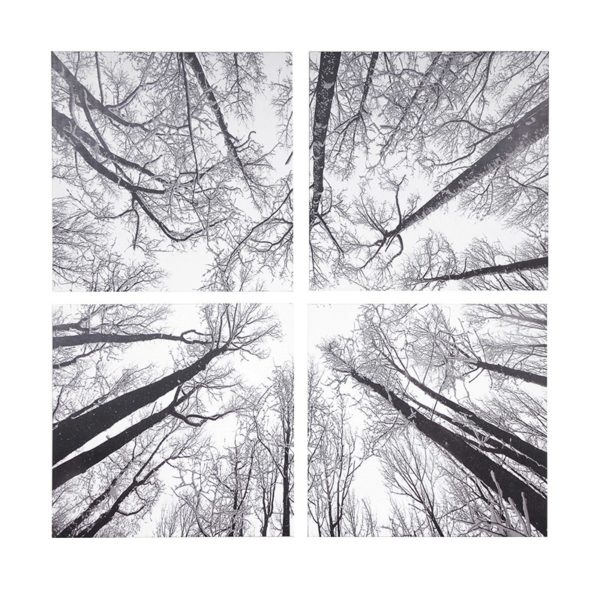Brighten up your room with this Trees Modern Wall Art Print. A great addition to a clean and contemporary design. Dimensions: H: 1600mm W: 1600mm