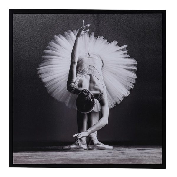 Brighten your room with this Ballet Blanc Picture. A great addition to an already contrasting setting. Product Information: Dimensions: H: 800mm W: 800mm