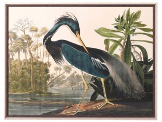 A striking vintage-inspired framed print featuring an elegant teal heron within a lush tropical landscape. Its generous 105cm width makes it a beautiful statement piece.